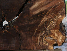 Load image into Gallery viewer, XF Rustic Claro Walnut Burl Slab
