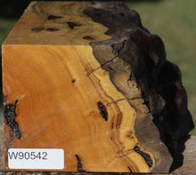 Load image into Gallery viewer, Rustic Pequiarana Live Edge Vessel Blank
