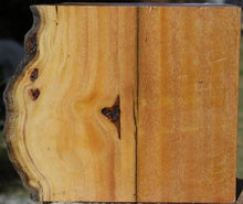 Load image into Gallery viewer, Rustic Pequiarana Live Edge Bowl Blank
