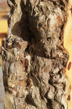 Load image into Gallery viewer, Pequiarana Mantel
