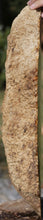 Load image into Gallery viewer, XF Gold Mallee Burl Cap
