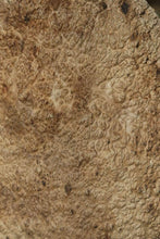 Load image into Gallery viewer, XF Gold Mallee Burl Cap

