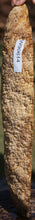 Load image into Gallery viewer, Exhibition Gold Mallee Burl Cap

