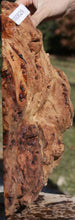 Load image into Gallery viewer, Red Gum Resin Burl Cap
