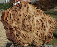 Load image into Gallery viewer, Red Gum Resin Burl Cap
