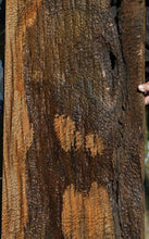 Load image into Gallery viewer, Rustic Exhibition Pomelle Sapele Live Edge Lumber
