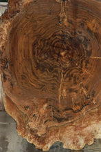 Load image into Gallery viewer, Claro Walnut Burl Slab
