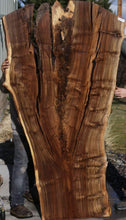 Load image into Gallery viewer, Rustic Feather Crotch Claro Walnut Slab
