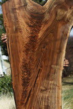 Load image into Gallery viewer, Exhibition Grade Feather Crotch Claro Walnut Slab
