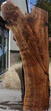 Load image into Gallery viewer, Exhibition Grade Feather Crotch Claro Walnut Slab
