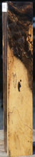 Load image into Gallery viewer, XF Figured Black and White Ebony Turning Square
