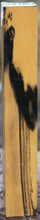 Load image into Gallery viewer, XF Figured Black and White Ebony Turning Square
