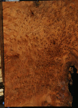Load image into Gallery viewer, Exhibition Grade Thuya Burl Slice
