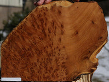Load image into Gallery viewer, Thuya Burl Slice

