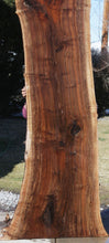 Load image into Gallery viewer, Rustic Figured Claro Walnut Slab

