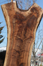 Load image into Gallery viewer, Rustic Figured Claro Walnut Slab
