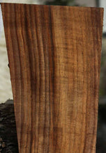 Load image into Gallery viewer, AAA+ XF Figured Claro Walnut Rifle Stock
