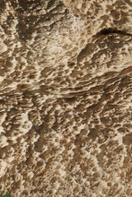Load image into Gallery viewer, Red Coolibah Burl Cap
