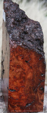 Load image into Gallery viewer, Asian Pan Burl Live Edge Bowl Blank
