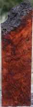Load image into Gallery viewer, Asian Pan Burl Live End Peppermill
