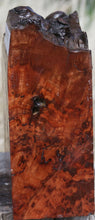 Load image into Gallery viewer, Asian Pan Burl Live Edge Bowl Blank
