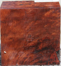 Load image into Gallery viewer, Asian Pan Burl Bowl Blank
