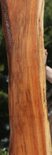 Load image into Gallery viewer, Hawaiian Koa Slab
