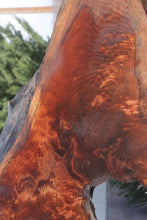 Load image into Gallery viewer, Rustic Figured Redwood Dinosaur Head Slab
