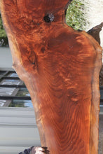 Load image into Gallery viewer, Rustic Figured Redwood Dinosaur Head Slab
