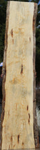Load image into Gallery viewer, Rustic Ponderosa Pine Slab
