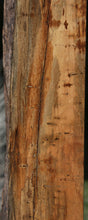 Load image into Gallery viewer, Wormy Rustic Spalted Goncalo Alves Live Edge Lumber

