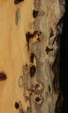 Load image into Gallery viewer, Pequiarana Slab
