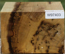 Load image into Gallery viewer, Chocolate Drizzle Myrtle Bowl Blank
