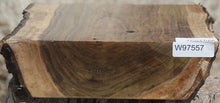 Load image into Gallery viewer, Claro Walnut Live Edge Bowl Blank
