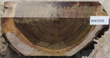 Load image into Gallery viewer, Claro Walnut Live Edge Bowl Blank
