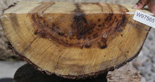 Load image into Gallery viewer, Chocolate Drizzle Myrtle Half Log
