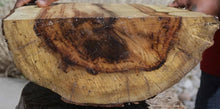 Load image into Gallery viewer, Chocolate Drizzle Myrtle Half Log
