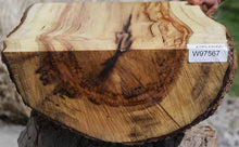 Load image into Gallery viewer, Chocolate Drizzle Myrtle Half Log
