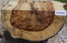 Load image into Gallery viewer, Chocolate Drizzle Myrtle Half Log
