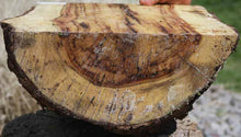 Load image into Gallery viewer, Chocolate Drizzle Myrtle Half Log
