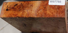 Load image into Gallery viewer, Sycamore Burl Bowl Blank
