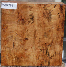 Load image into Gallery viewer, Sycamore Burl Bowl Blank
