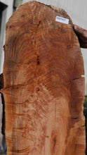 Load image into Gallery viewer, Cluster Burl Coral Maple Slab
