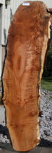 Load image into Gallery viewer, Cluster Burl Coral Maple Slab

