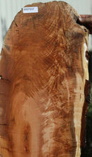 Load image into Gallery viewer, Cluster Burl Coral Maple Slab
