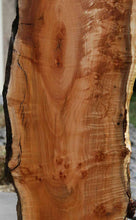 Load image into Gallery viewer, Cluster Burl Coral Maple Slab
