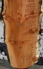 Load image into Gallery viewer, Cluster Burl Coral Maple Slab
