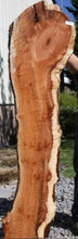 Load image into Gallery viewer, Cluster Burl Coral Maple Slab
