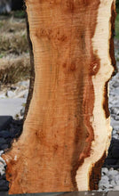 Load image into Gallery viewer, Cluster Burl Coral Maple Slab
