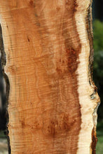 Load image into Gallery viewer, Cluster Burl Coral Maple Slab
